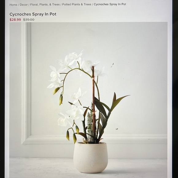 Nespresso - Picture 8 of 8